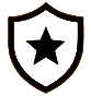 Shield icon with centered star